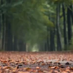 olejek CBD a jesień